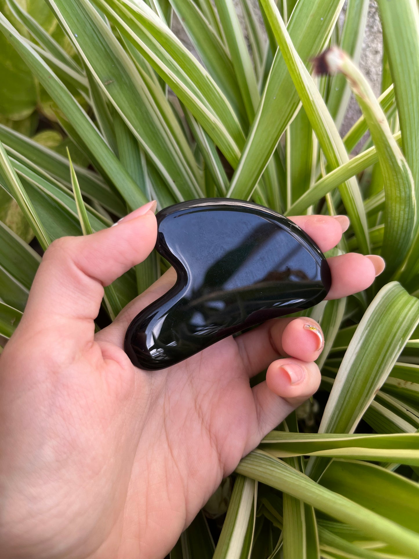 Gua Sha