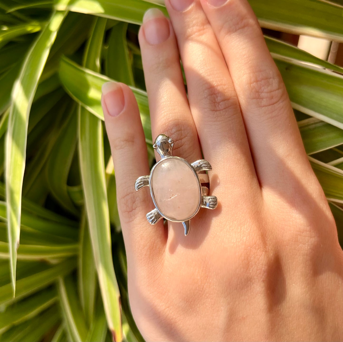 Turtle Ring