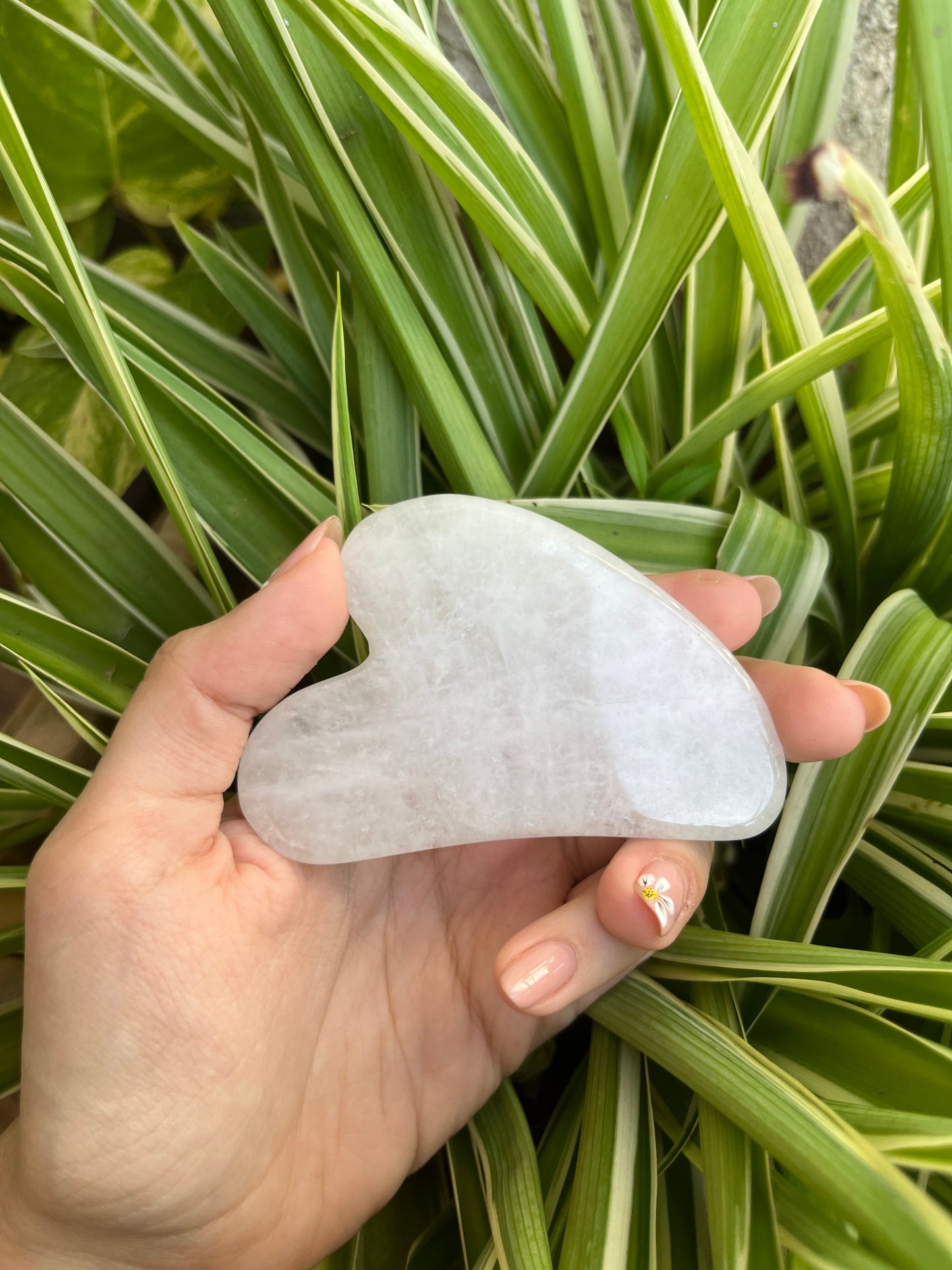 Gua Sha