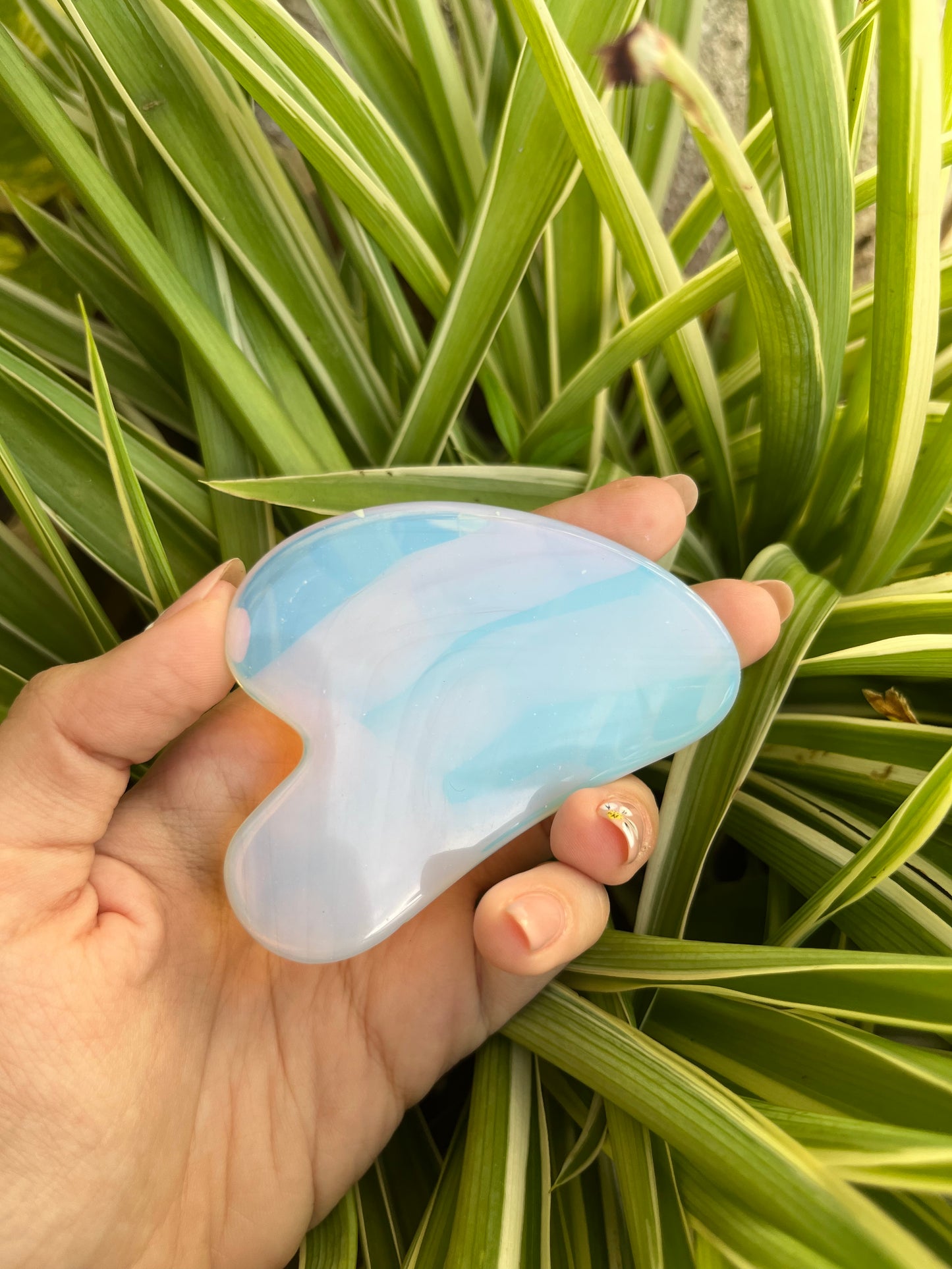 Gua Sha