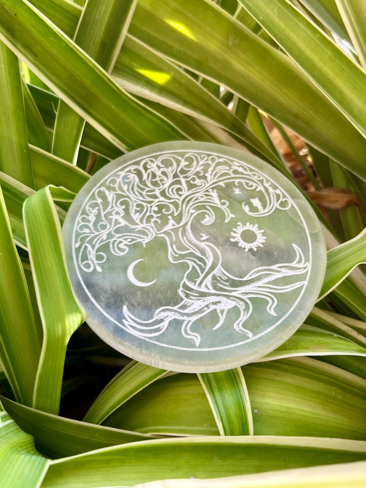 Selenite Plate