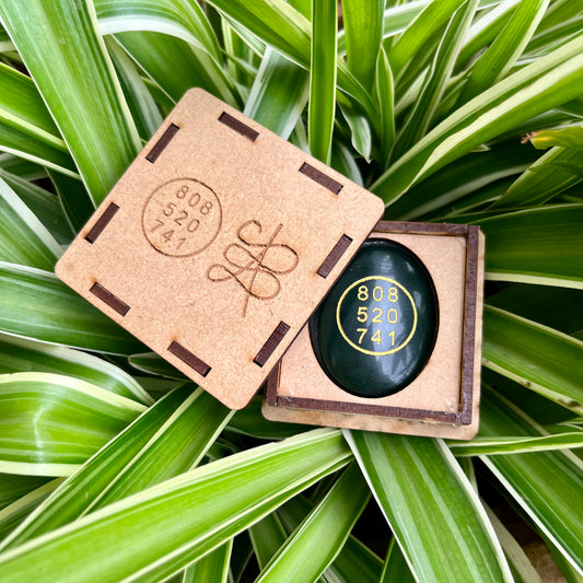 Zibu Coin/ Money Switch Coin