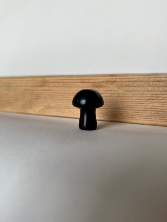 Black Tourmaline Mushroom
