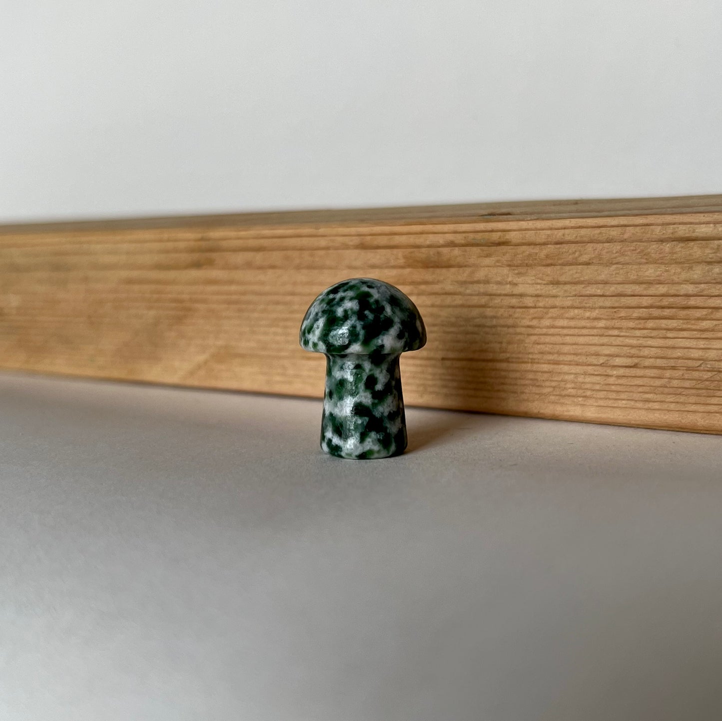 Tree Agate Mushroom