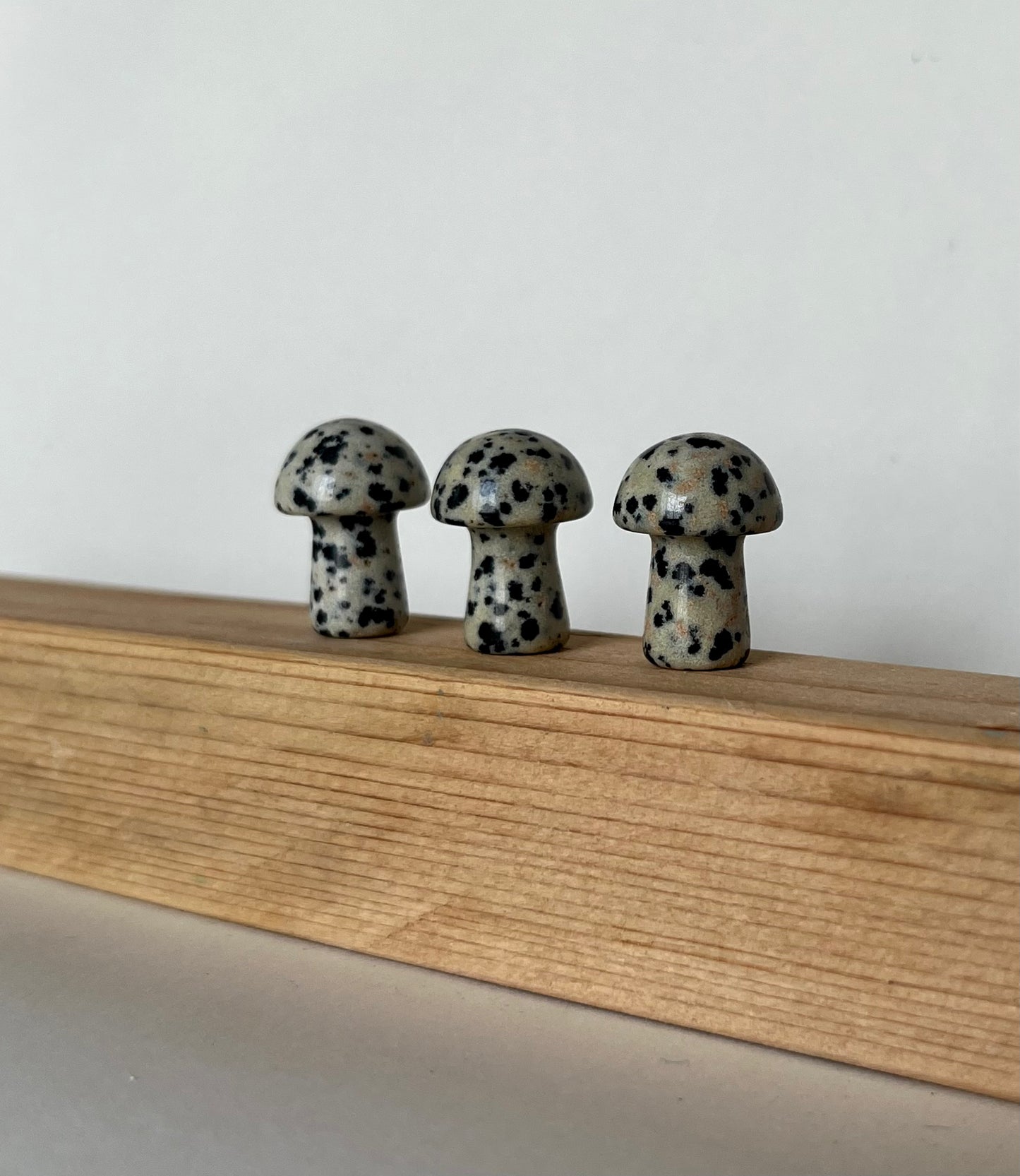 Dalmation Jasper Mushroom