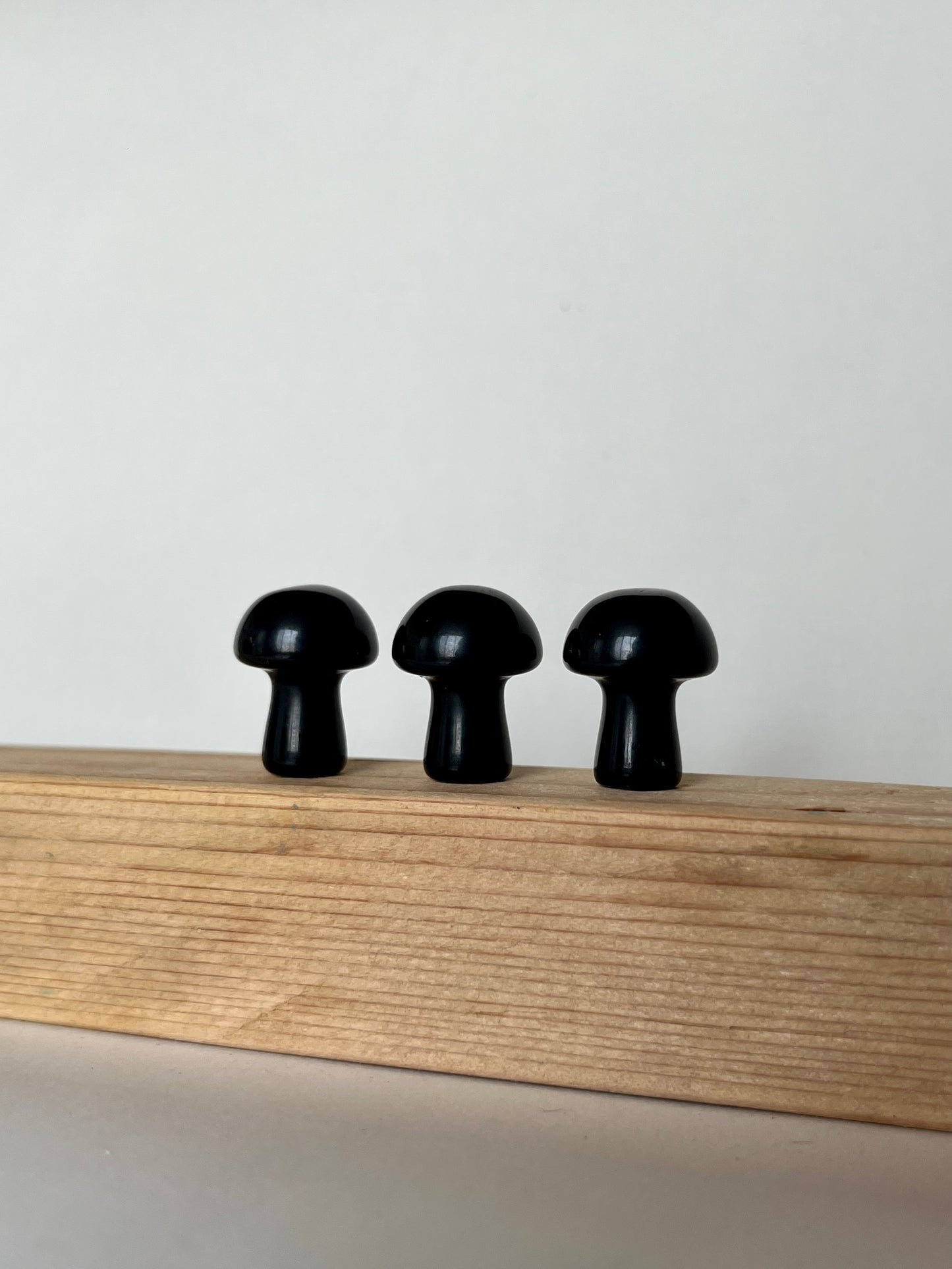 Black Tourmaline Mushroom