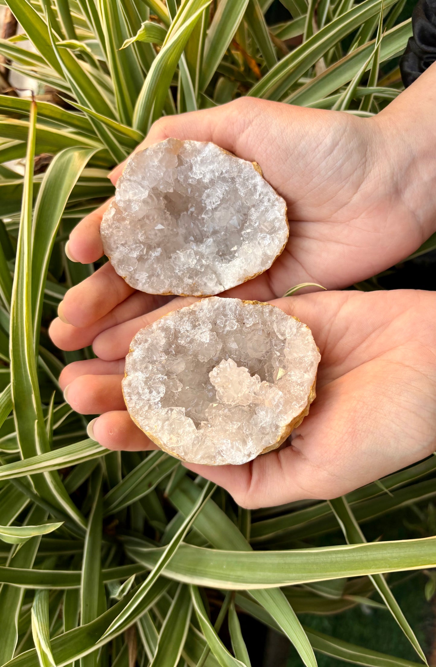 Geode Clear Quartz