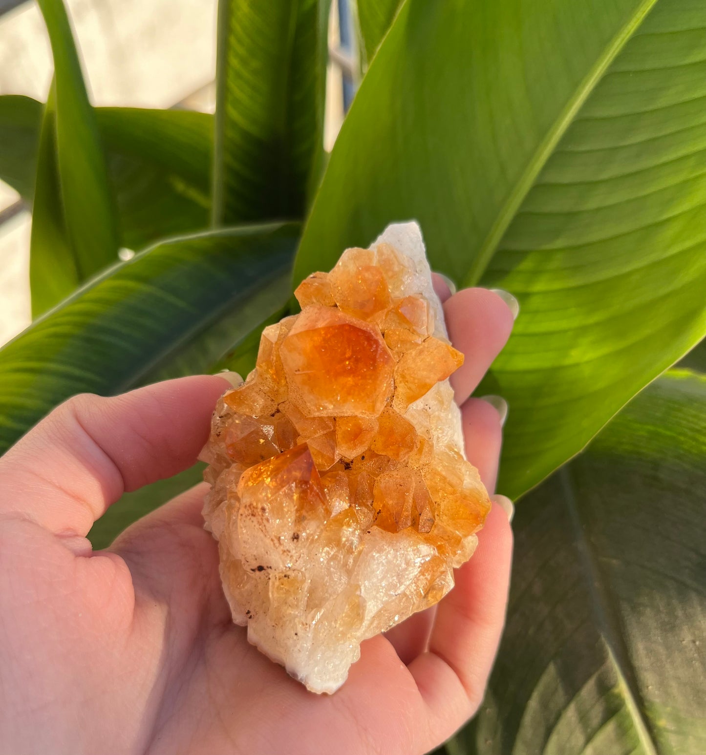 Citrine Geode