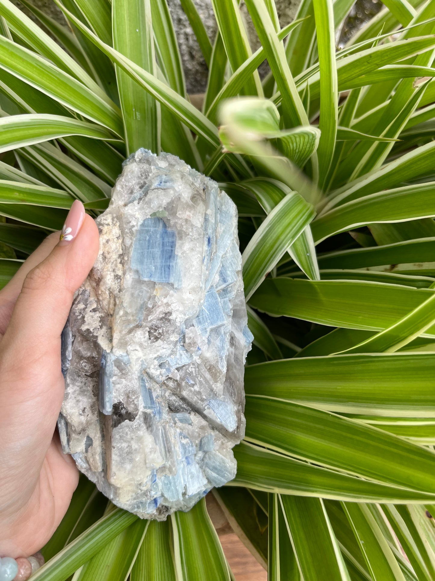 Kyanite Raws