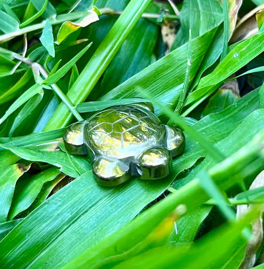 Pyrite Turtle