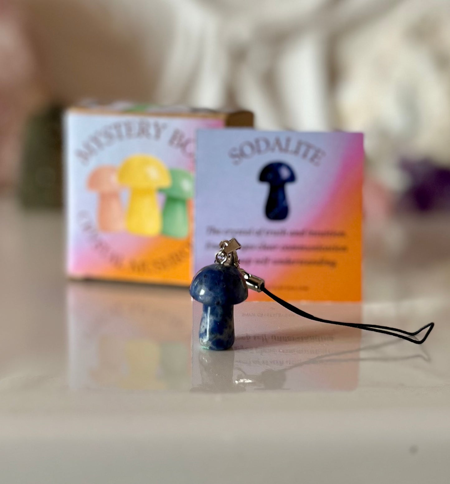 Mushroom Mystery Box