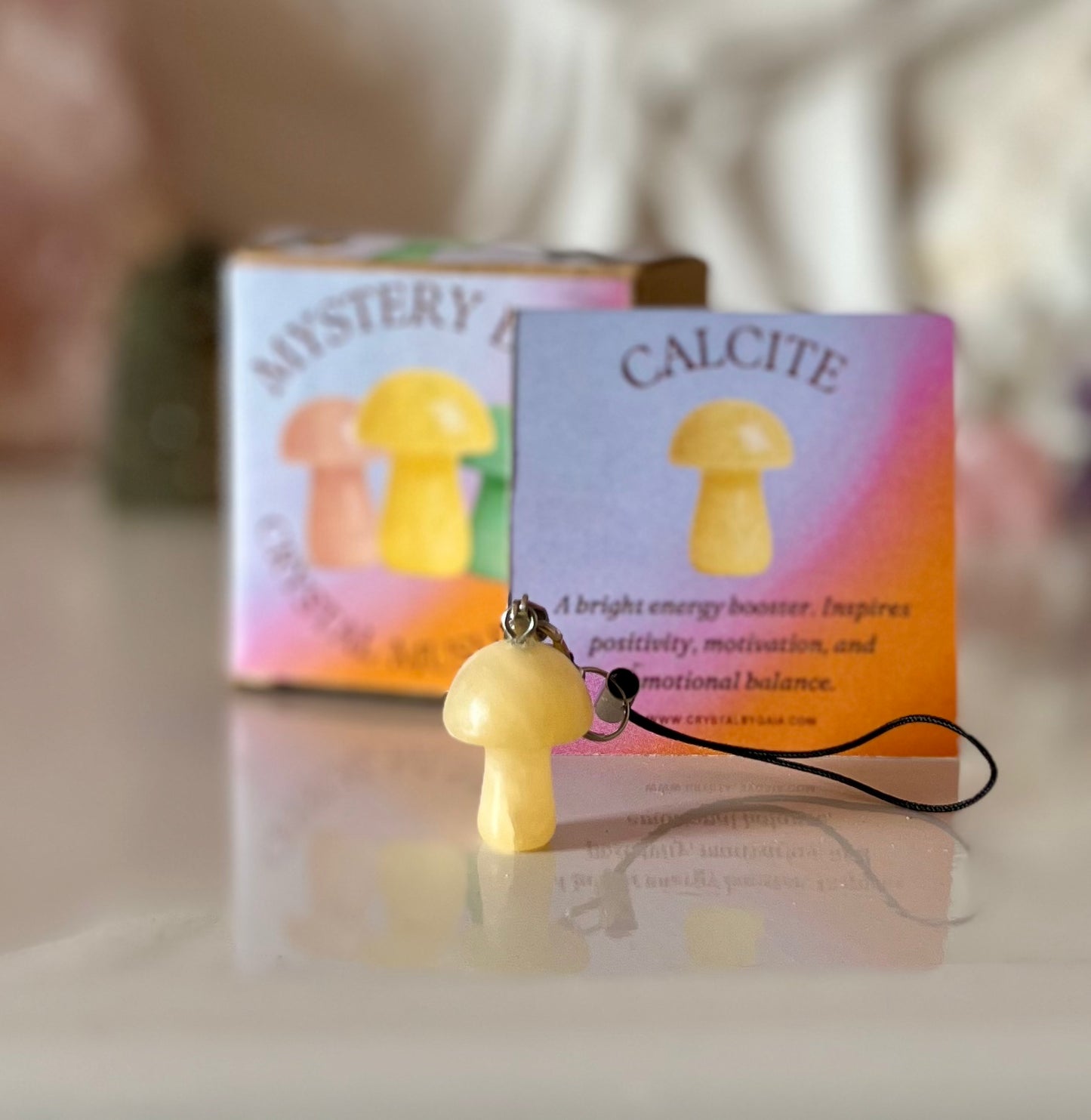 Mushroom Mystery Box