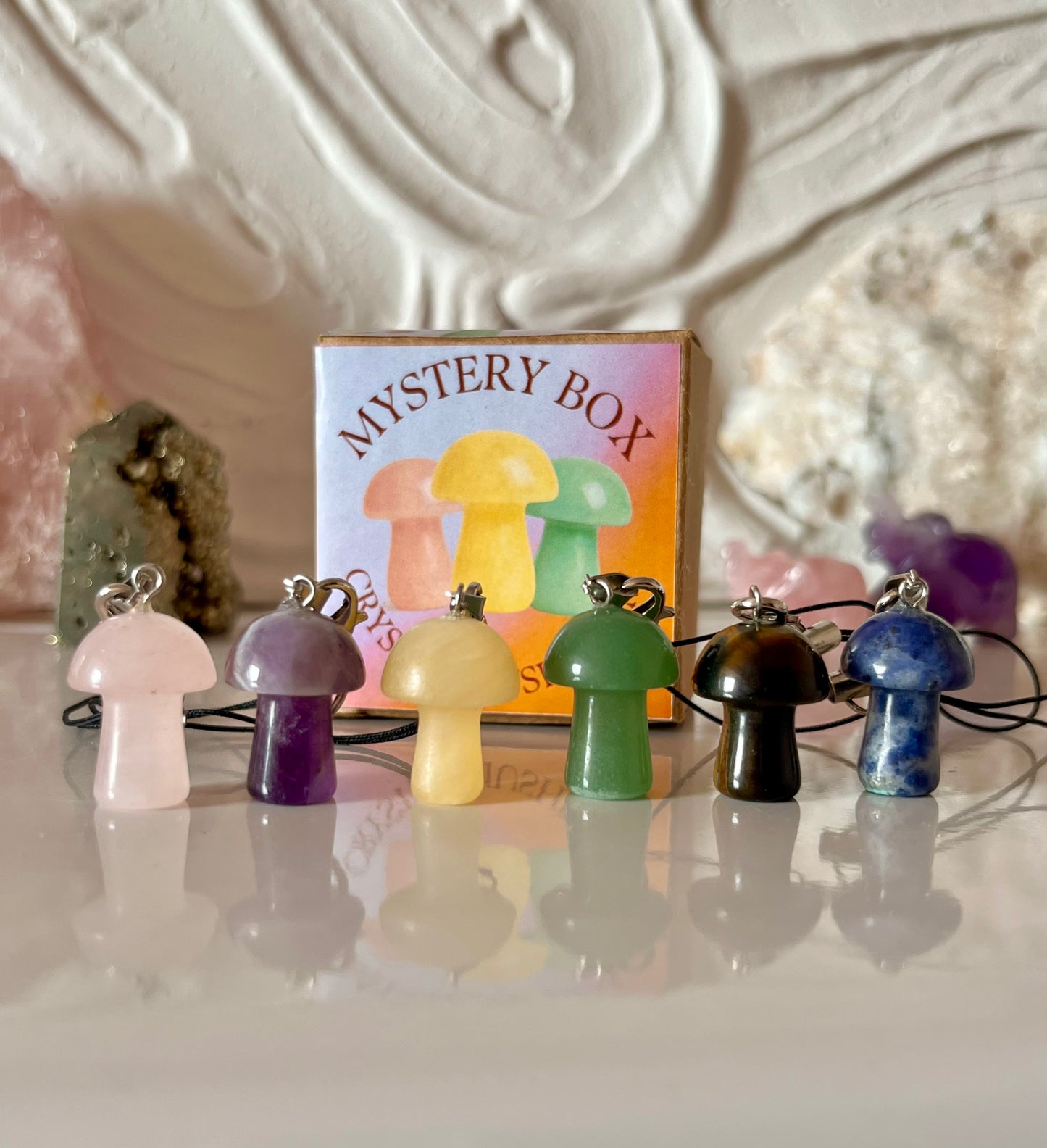 Mushroom Mystery Box