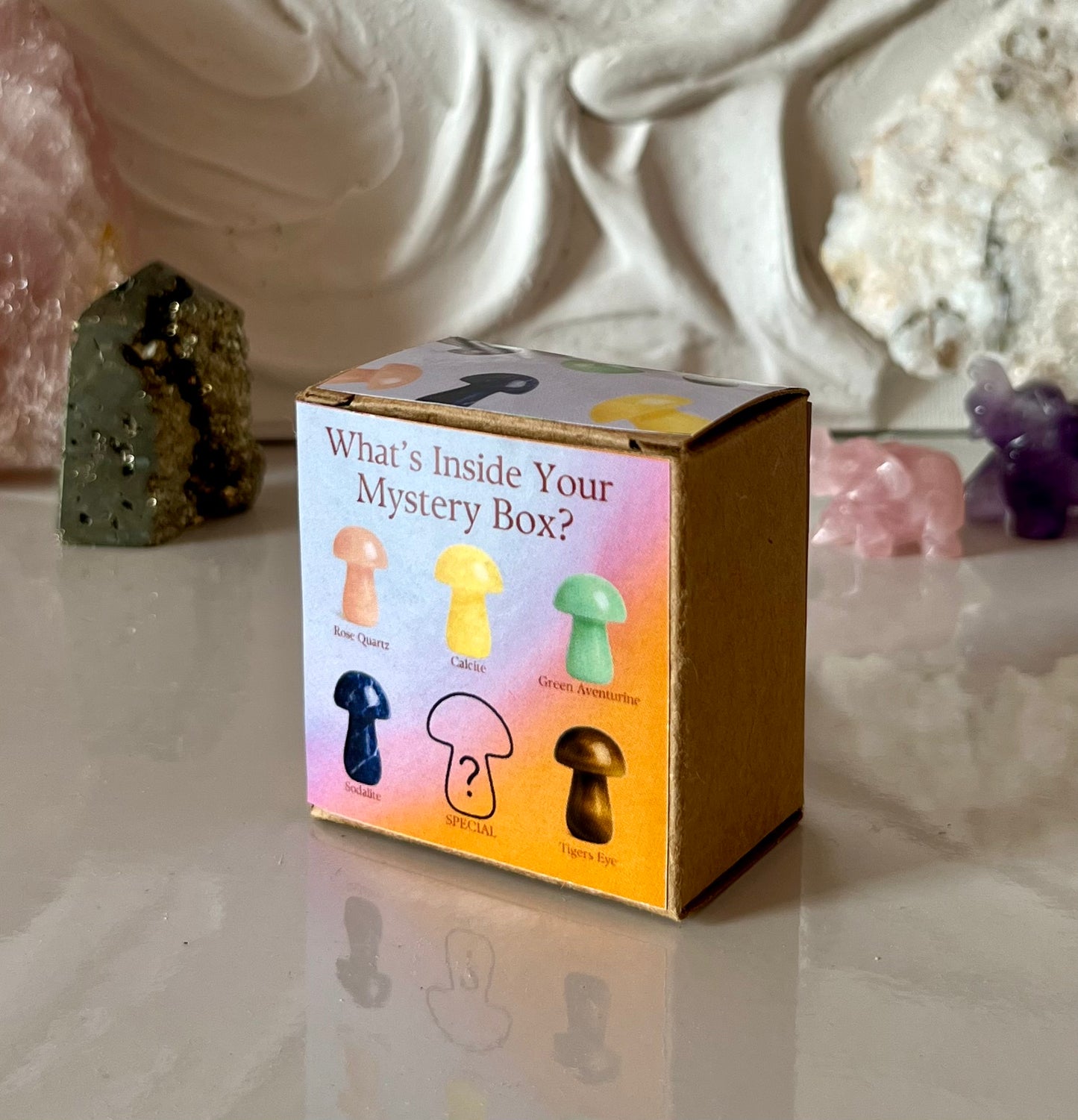 Mushroom Mystery Box