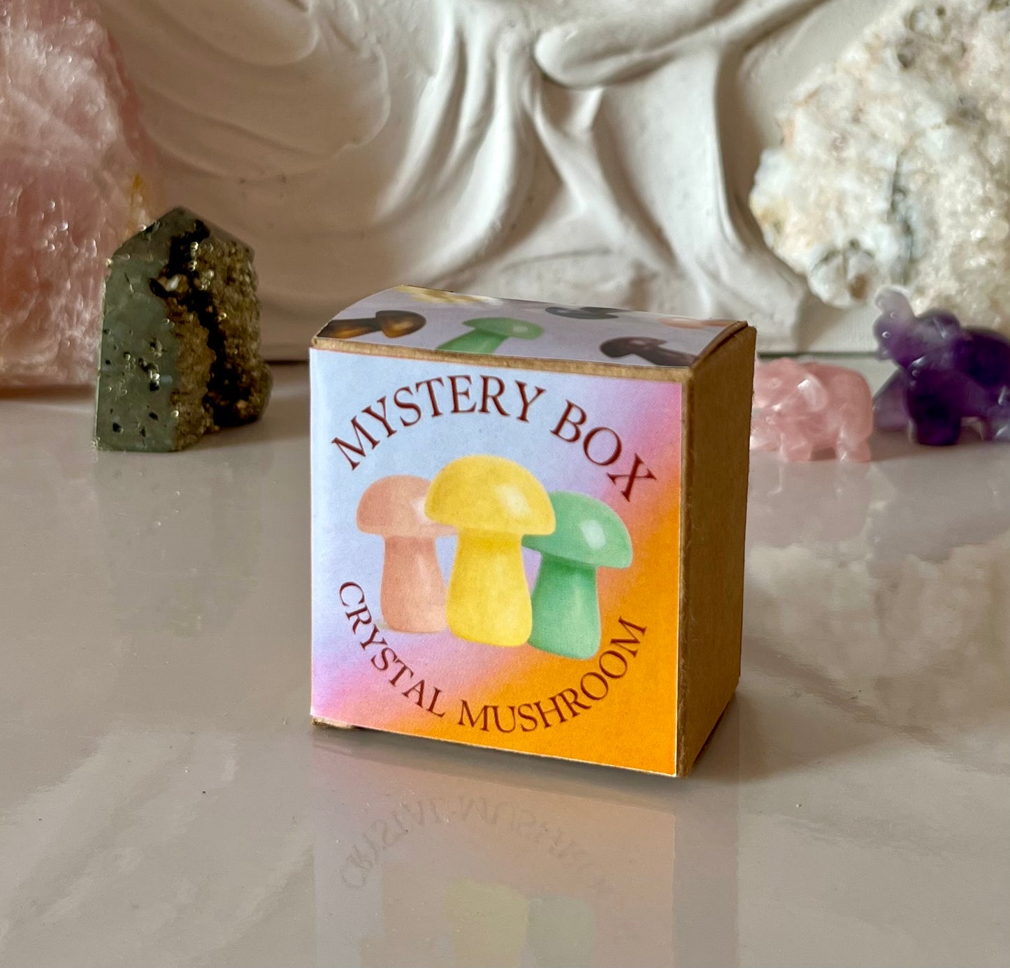 Mushroom Mystery Box