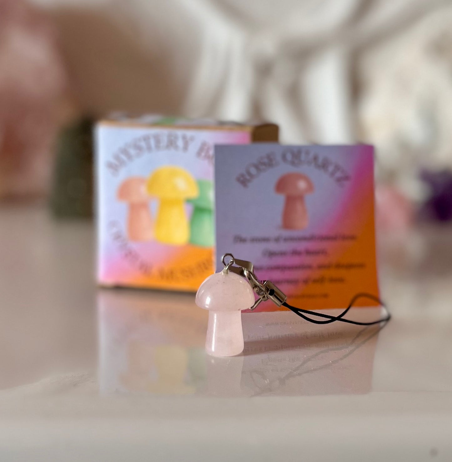 Mushroom Mystery Box