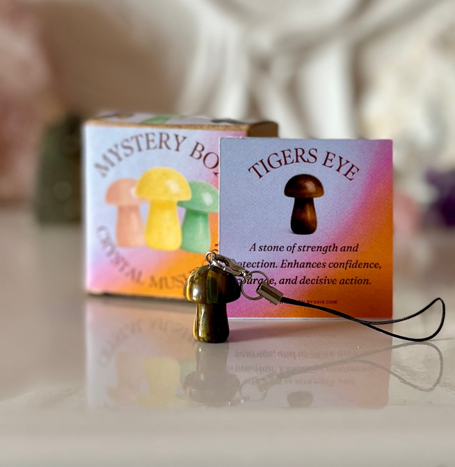 Mushroom Mystery Box