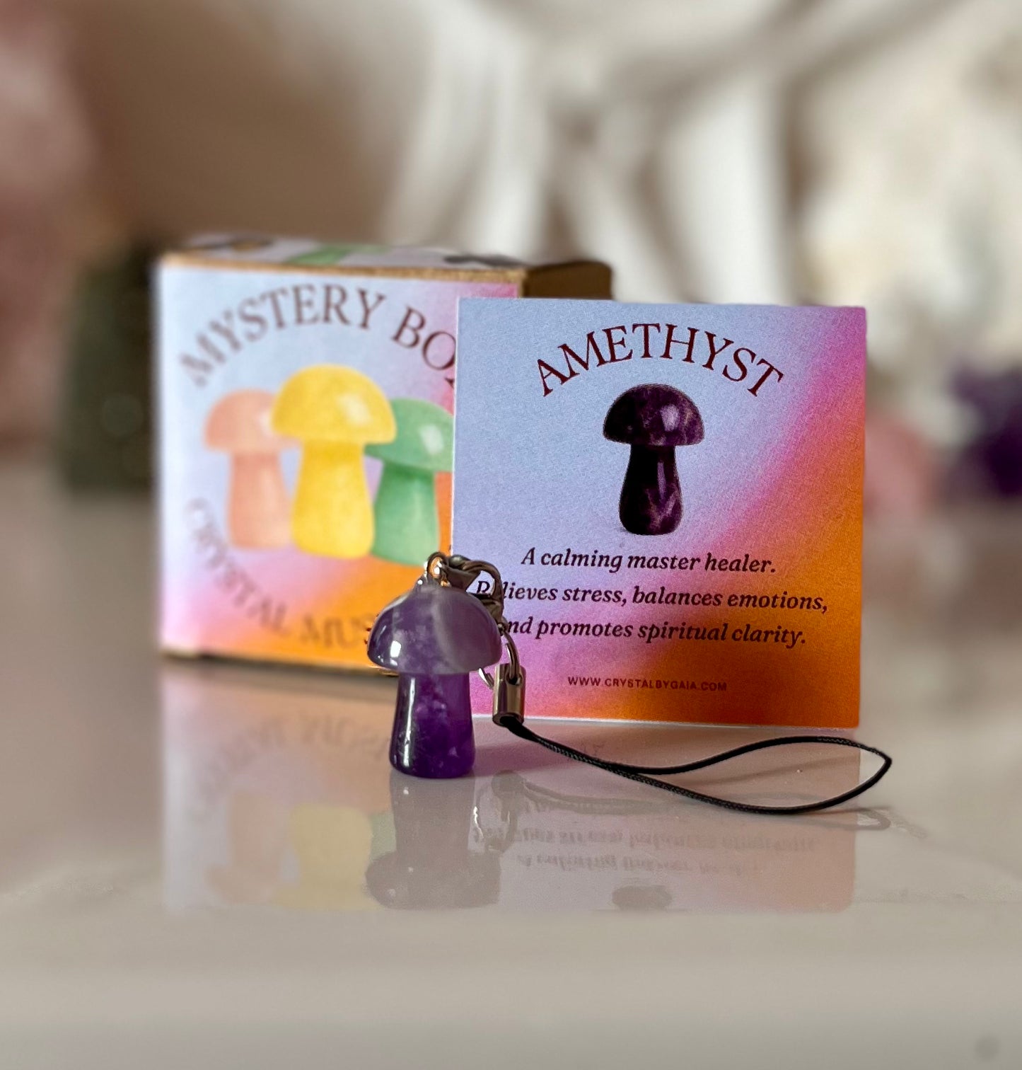 Mushroom Mystery Box