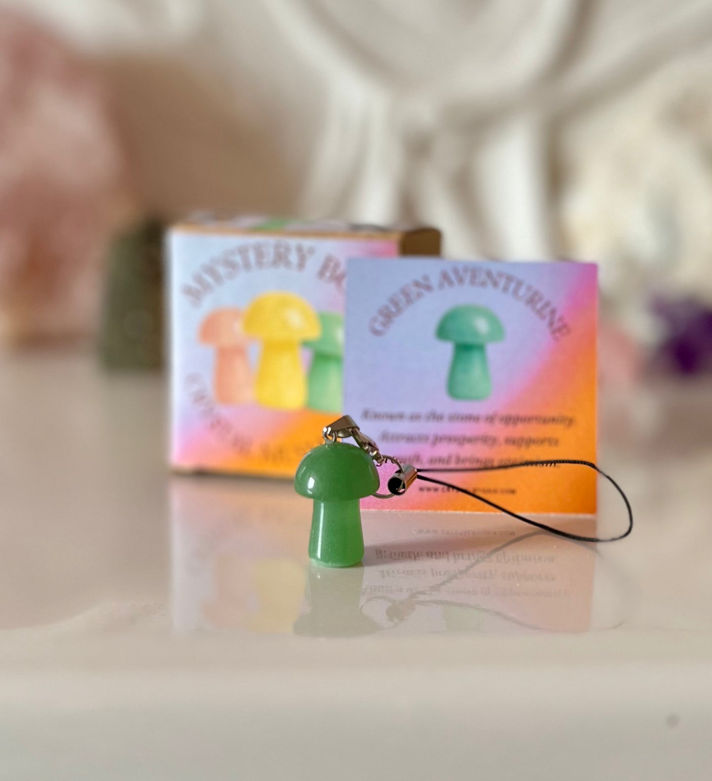 Mushroom Mystery Box