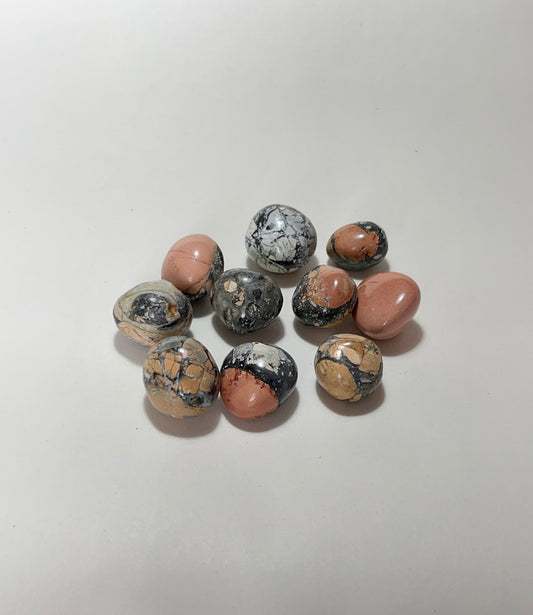 Leo Jasper Tumbler