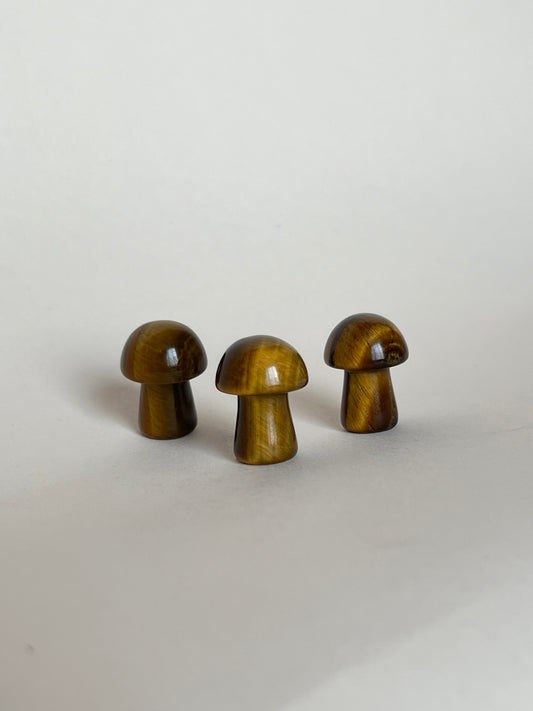 Tigers Eye Mushroom