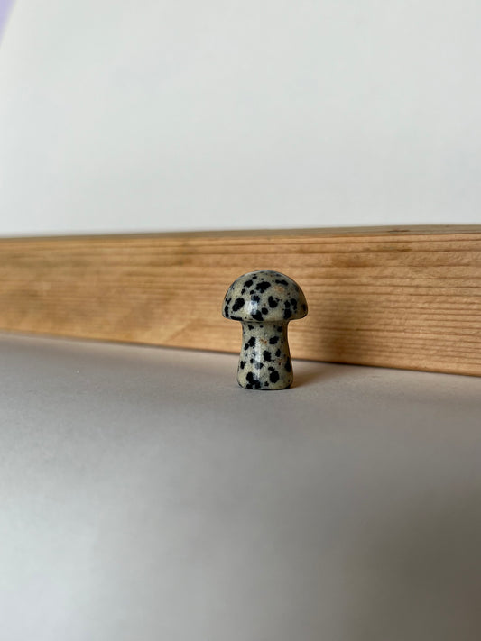 Dalmation Jasper Mushroom