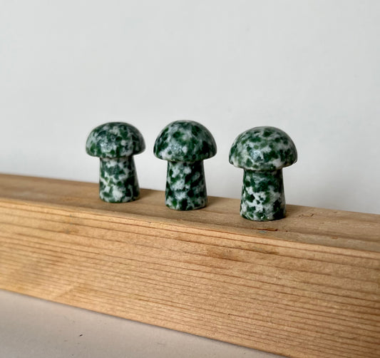 Tree Agate Mushroom